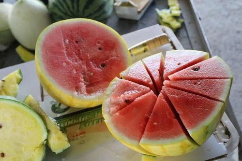 小嘉娱乐吃瓜,揭秘娱乐圈最新吃瓜事件,带你领略明星幕后故事