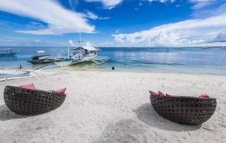 娱乐吃瓜岛,揭秘娱乐圈背后的那些事儿