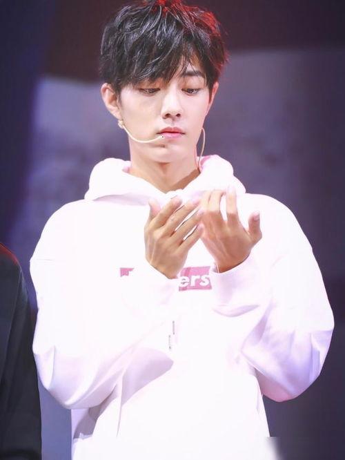 娱乐圈吃瓜爆料 肖战,娱乐圈风云再起,揭秘背后真相与争议