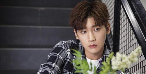 吃瓜娱乐爆料刘宇宁事件,吃瓜群众揭秘娱乐圈幕后真相