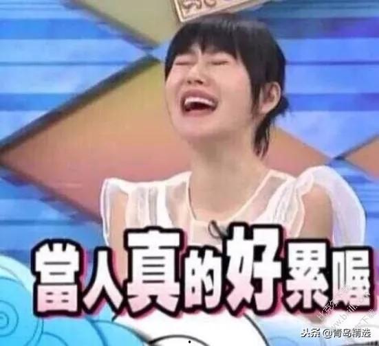 娱乐圈吃瓜系统文推荐